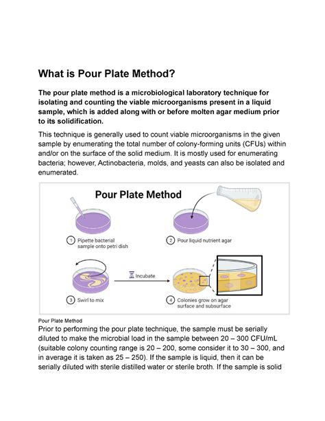 Similarities Between Spread Plate Technique And Pour Plate Technique at ...
