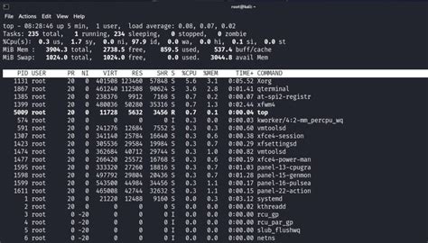 Essential Commands For Process Management in Kali Linux - Tech Hyme