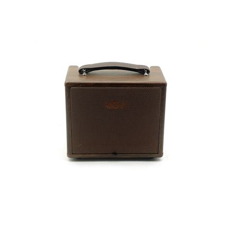 Acoustic Guitar Amp AGA SC-X1. – Urooj Music