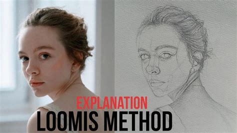 Image result for Loomis Method of Drawing