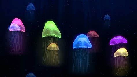 Deep Sea Glowing Jellyfish