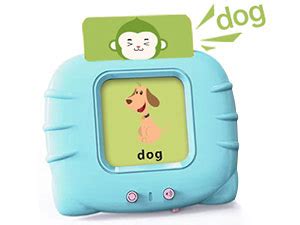 Amazon.com: U-LEARNER 296 Sight Words Talking Flash Cards for Toddlers ...