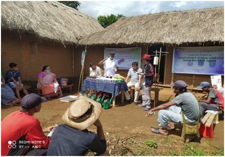School of Crop Protection | College of Post Graduate Studies in ...