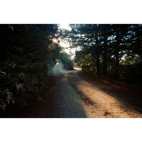 Emma Elizabeth Tillman (@emmaelizabethtillman) • Instagram photos and ...