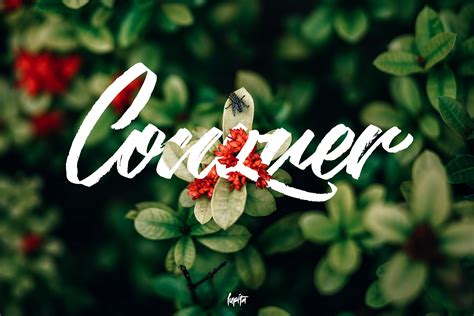 Multimedia Lettering Design 的图像结果