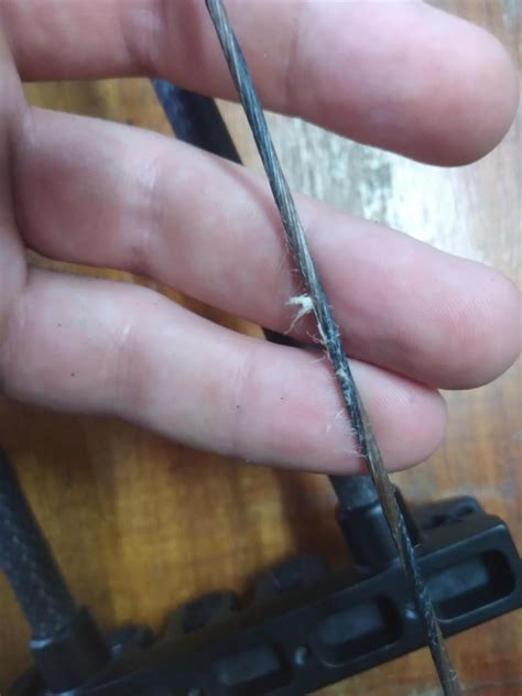 Image result for Bow String Fraying