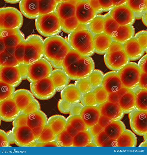 Cell Microscope 的图像结果
