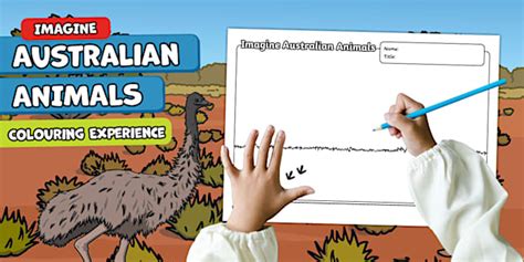 Imagine Australian Animals - Colouring Experience