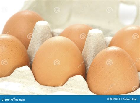 Half a dozen eggs stock image. Image of nutrition, range - 28879219