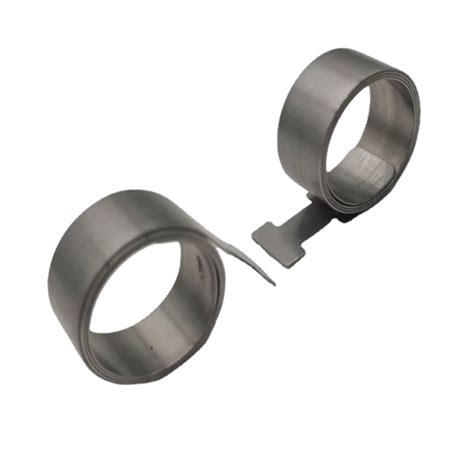 Image result for Constant Force Spring for Watch