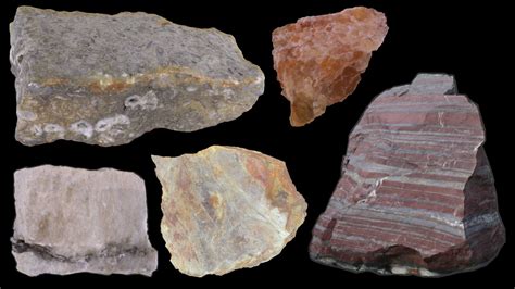 Fossil Sedimentary Rock Examples at Tyson Bathurst blog