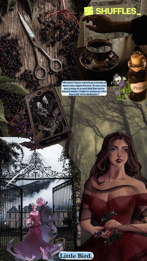 Belladonna by Adalyn Grace | Romance books, Book fandoms, Fan art