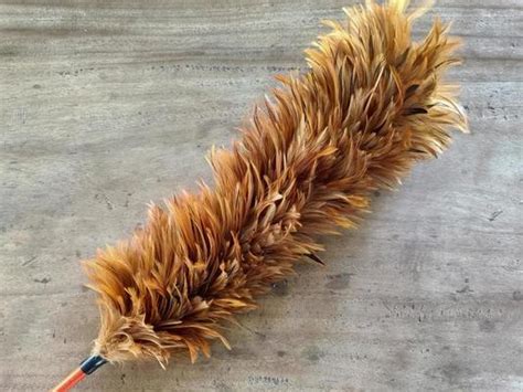 Using Feather Duster 的图像结果