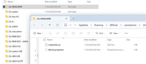 Image result for SQL Developer Connections File