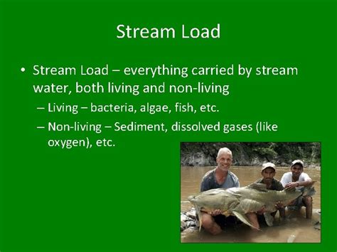 Image result for Stream Load