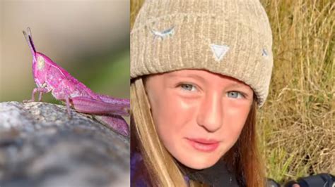 Watch: 8-Year-Old Girl Discovers Rare Pink Grasshopper, Captivates ...