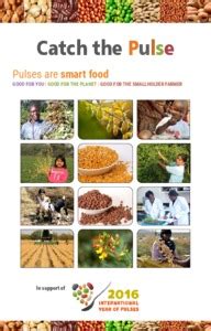 Catch the Pulse - OAR@ICRISAT