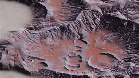 Alien Beachfront 的图像结果