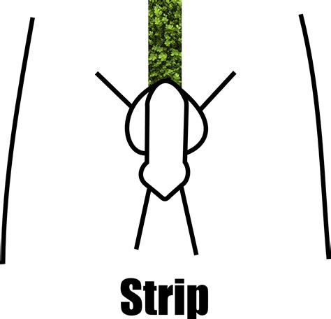 Pubic Hair Styles For Men - Best Humidity Hairstyles