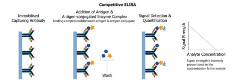 Image result for Competitive ELISA Protocol