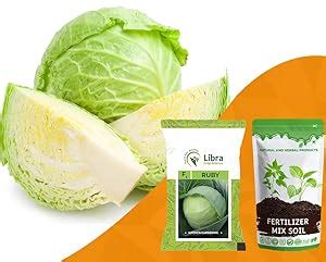 Vegetable Seeds | Cabbage | Farming | Home | Garden | Hybrid | Kitchen ...