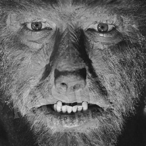 The Wolf Man 1941 Lon Chaney Jr. Classic Werewolf Photo – Mystery ...