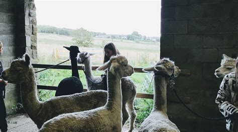 APPLE TREE FARM HOLIDAYS (Hebden Bridge, Yorkshire) - Cottage Reviews ...