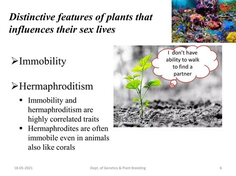 Evoluton of plant sexual diversity | PPTX