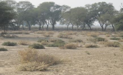 ASI JODHPUR CIRCLE