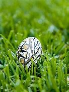 Image result for Christian Easter Bunny