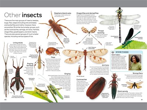 Image result for Insect Reproduction Books