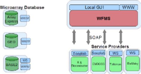 Microarray Data 的图像结果