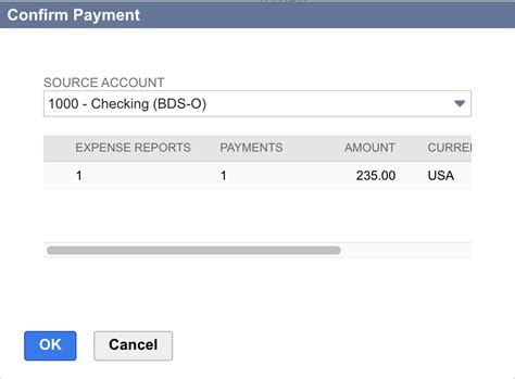NetSuite Expense Report 的图像结果
