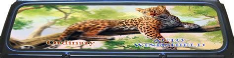 AutoWindshieldWeld - Auto windshield glass repair & replacement