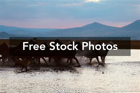 WW2 Map Animated 的图像结果