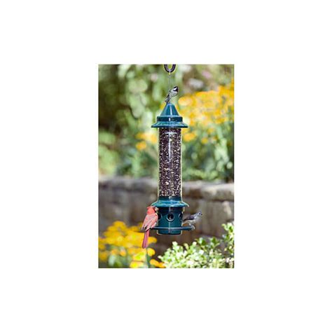 Squirrel Proof Bird Feeders · The Audubon Shop Birder Supplies ...