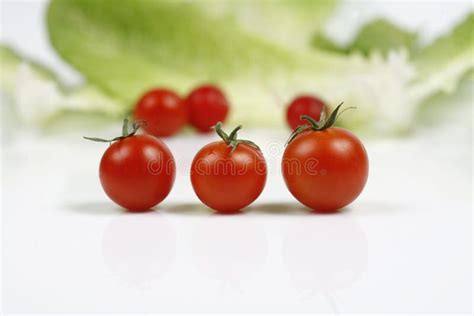 Tomato 库存照片. 图片 包括有 营养, 宏指令, 膳食, 绿色, 营养素, 食物, 背包, 剪切 - 35925638