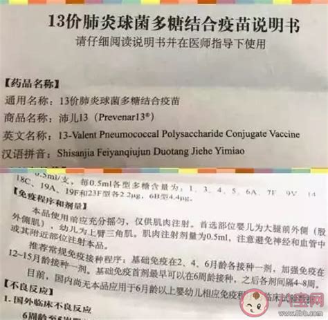 上海进口13价肺炎疫苗接种程序- 上海本地宝
