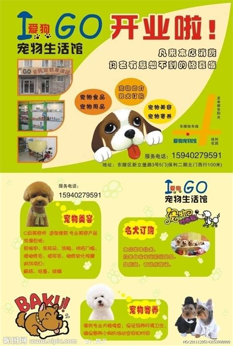 宠物店宣传单矢量图__DM宣传单_广告设计_矢量图库_昵图网nipic.com