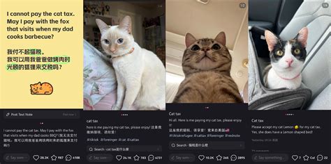 "TikTok Refugees", Join the Xiaohongshu Meme and Cat Tax Fun!