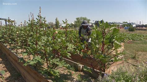 Village Exchange Center receives pandemic recovery assistance grants ...