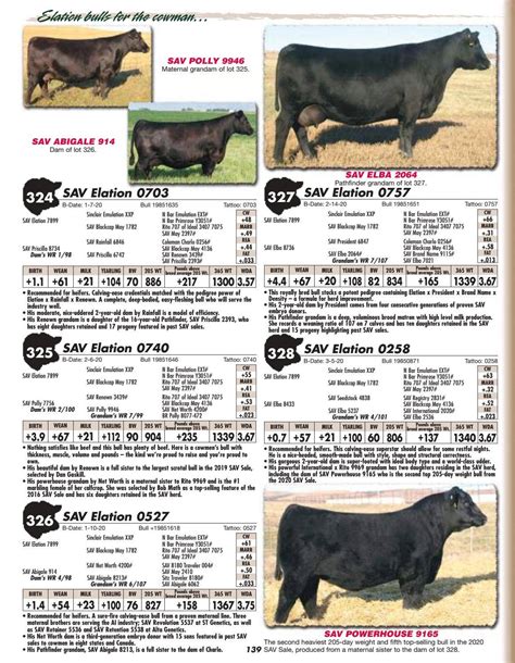 Schaff Angus Valley Sale Catalog 2021 by PeltonLivestock - Issuu