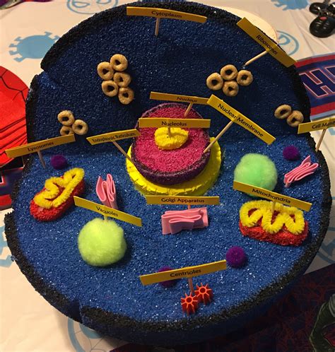 3D project of an animal cell. 7th grade Science project. | Cells ...
