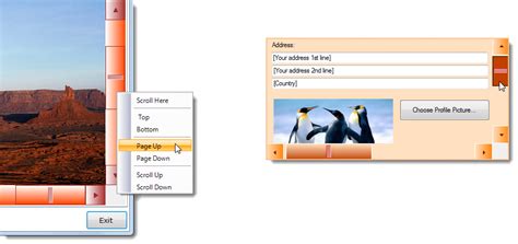 Image result for PanelView Vb.net WinForms