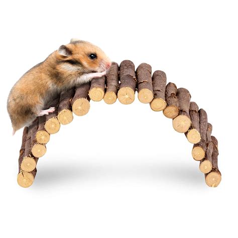 Buy andwe Apple Twig Ladder Wooden Fun Bridge for Hamster Rats Sugar ...
