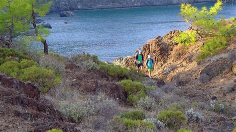 Travel Clip 的图像结果