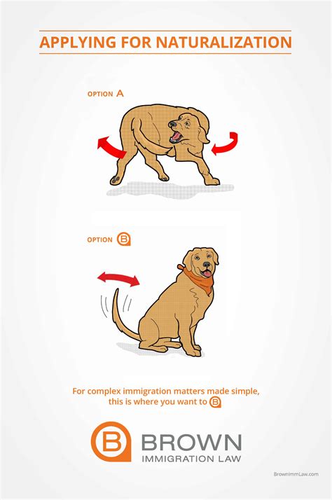 Brown Immigration Law - Catbird