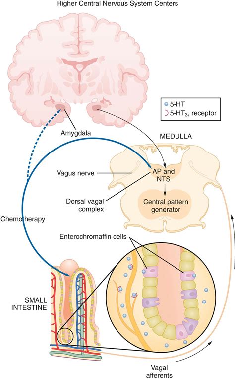 Pharmacology of Postoperative Nausea and Vomiting - Clinical Tree