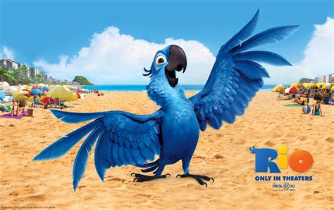Blu the Macaw on the Beach in Rio Desktop Wallpaper