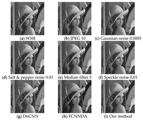 CWAN: Covert Watermarking Attack Network